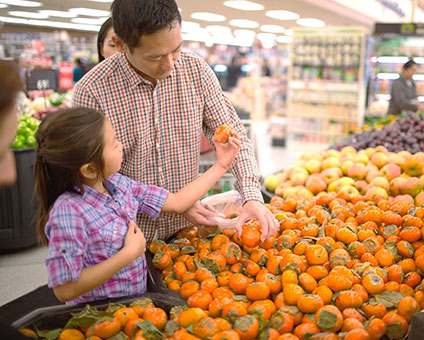 Man and child Grocery Shopping image